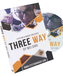 Wei Ding & system 6 – Three Way ( Instant Download )