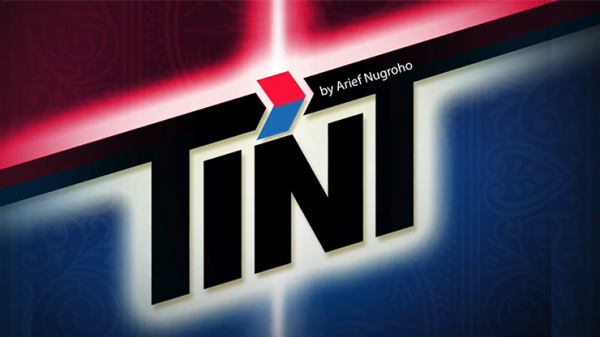tine-600x337-1
