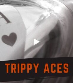 Adam Wilber – Trippy Aces ( Instant Download )