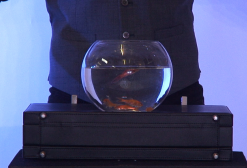 ULTIMATE BOWLING BALL FROM BRIEFCASE by Richard Griffin (Gimmick Not Included) ( Instant Download )