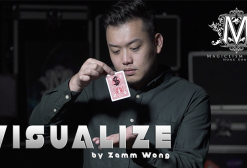 Visualize by Zamm Wong and Magiclism ( Instant Download )