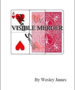 Wesley James – Visible Merger ( Instant Download )