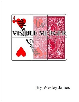 wesley-james-visible-merger-official-pdf