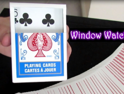 Window Watcher by Aaron Plener ( Instant Download )