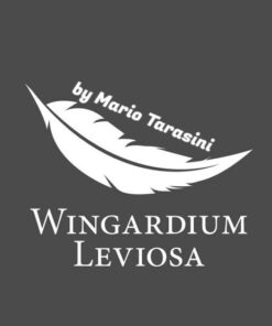 Mario Tarasini – Wingardium Leviosa ( Instant Download )