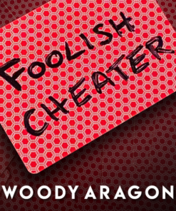 Woody Aragon – Foolish Cheater ( Instant Download )