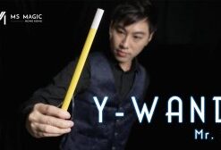 Y Wand by Mr. Y & MS Magic ( Instant Download )