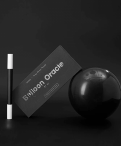 Balloon Oracle by Henry Harrius. ( Instant Download )
