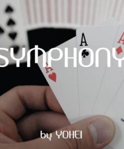 Yohei Hawabata – Symphony ( Instant Download )