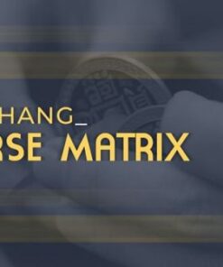 Yu Huihang – Reverse Matrix (1080p video) ( Instant Download )