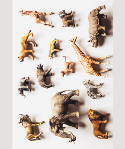 Noah's Ark Prop-less Animal Guess by Fraser Parker ( Instant Download )