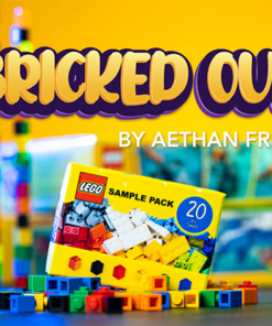 Bricked Out by Aethan Friday. ( Instant Download )
