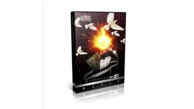 Pigeon-Pigeons-Road-Stage-Magic-Teaching-by-Jacky-640x360.jpg