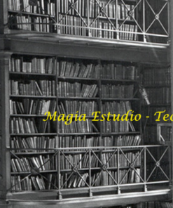 Magia Estudio - Teoría ( Instant Download )