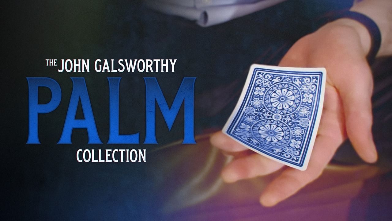 galsworthy-palm-collection