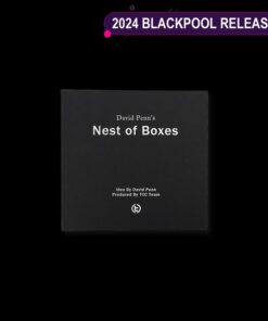 Mystery Solved Nest of Boxes by David Penn ( Instant Download )