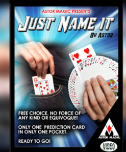 JUST NAME IT by ASTOR ( Instant Download )