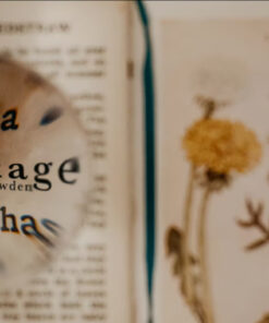 Matthew Dowden - Shrinkage ( Instant Download )