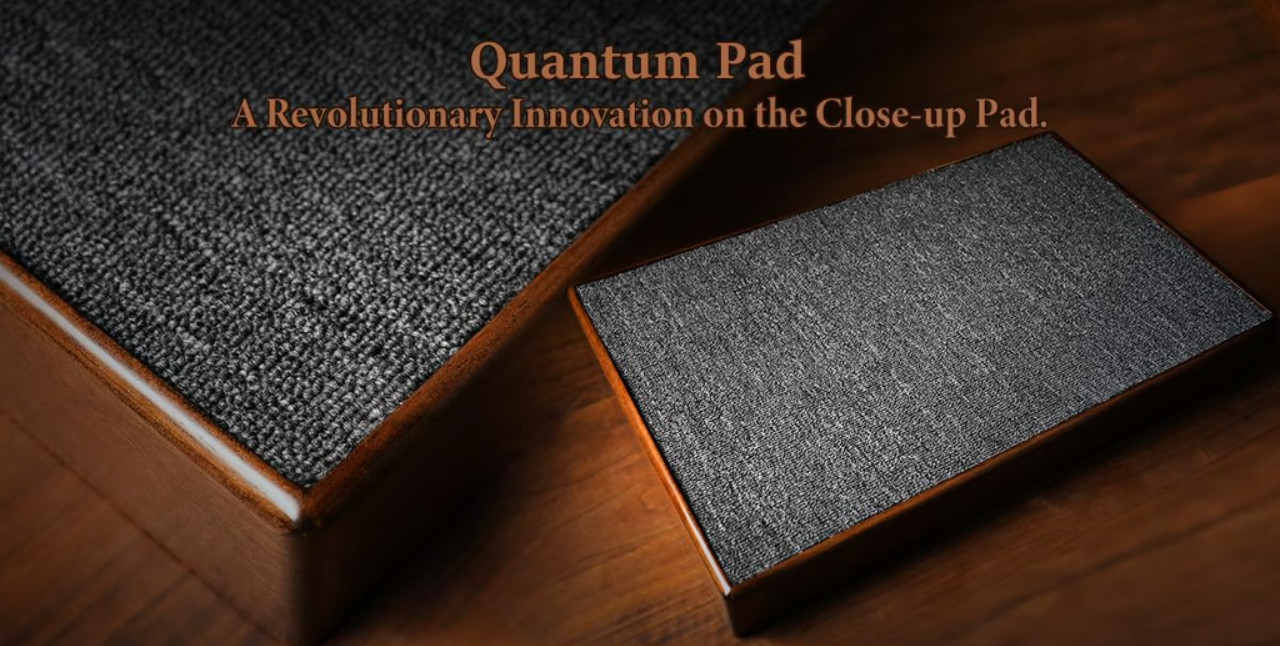 17313