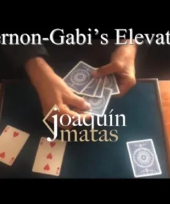 Joaquin Matas - Vernon's-Gabi's Elevator ( Instant Download )
