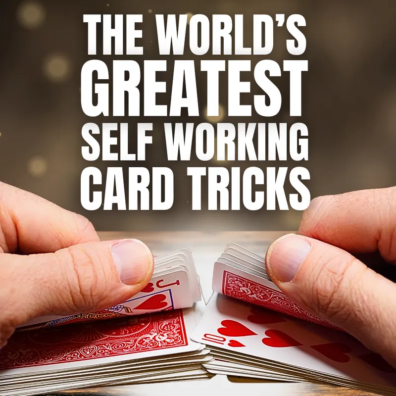 SELF_WORKING_3