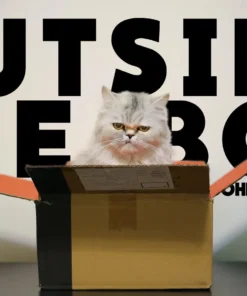 John Van Der Put - Outside the Box ( Instant Download )
