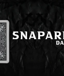 David Davis - Snaparition ( Instant Download )