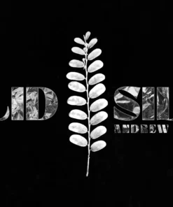 Andrew Normansell - Solid Silver ( Instant Download )