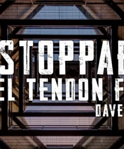 David Davis - Unstoppable ( Instant Download )