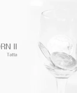 Tatta - Coin Porn II ( Instant Download )