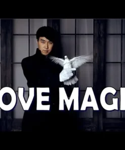 The Ultimate Guide to Mastering the Art of Dove Magic ( Instant Download )