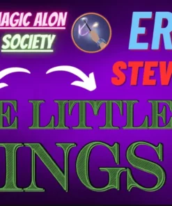 Eric Stevens - The Little Things Lecture ( Instant Download )