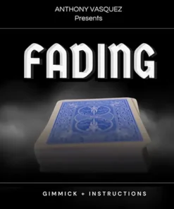 Anthony Vasquez - Fading ( Instant Download )