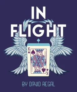 David Regal - In Flight ( Instant Download )