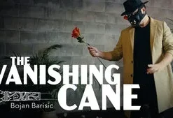 The Vanishing Cane by Bojan Barisic ( Instant Download )