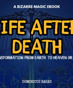 Life After Death by Dominicus Bagas ( Instant Download )
