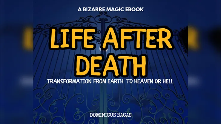 Life After Death by Dominicus Bagas ( Instant Download )