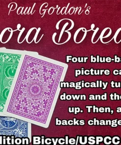 Aurora Borealis by Paul Gordon ( Instant Download )