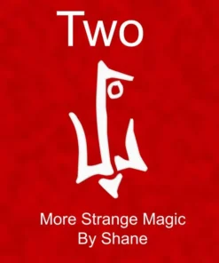 R. Shane - Two ( Instant Download )