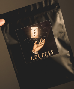 Jack Nobile and Piero Puddu - Levitas 2.0 ( Instant Download )