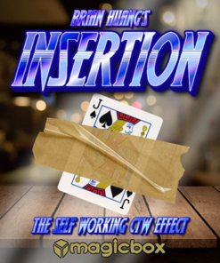 Brian Huang - Insertion ( Instant Download )
