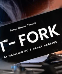 Magician Go & Henry Harrius - T-Fork ( Instant Download )