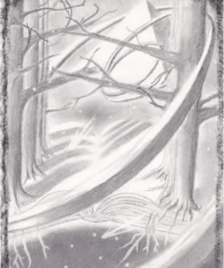 The Book of Wonders by Tom Phoenix