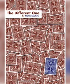 Iñaki Zabaletta - The Different One ( Instant Download )
